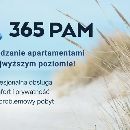 365pam - Sloneczny * 梅尔诺