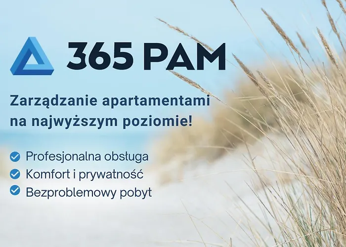365pam - Sloneczny * 梅尔诺