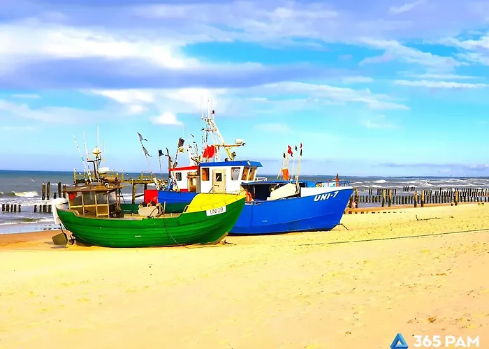 365pam - Sloneczny *