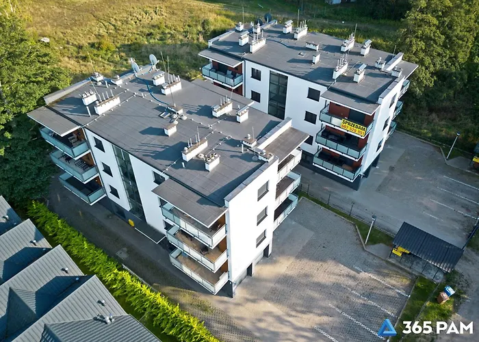 365pam - Sloneczny * 梅尔诺