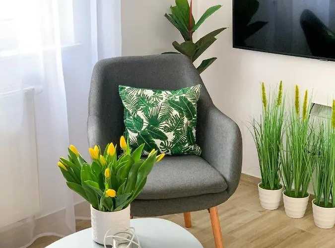 365pam - Sloneczny Mielno